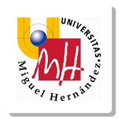 Universidad Miguel Hernández