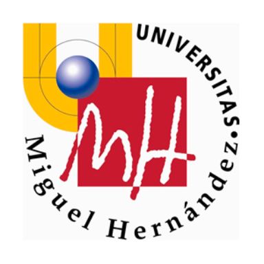 Universidad Miguel Hernández