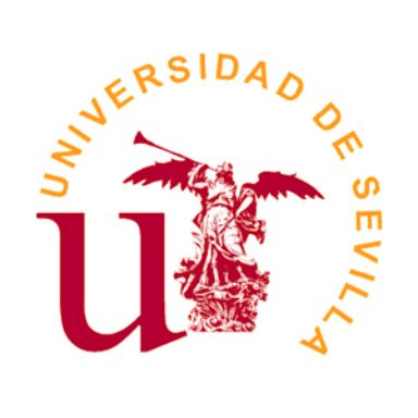 Universidad de Sevilla