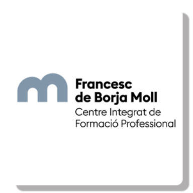 CIFP Francesc De Borja Moll