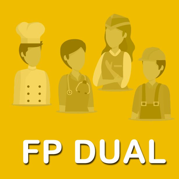  FP Dual
