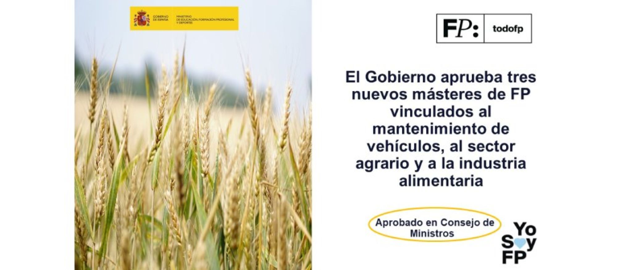 El Gobierno ha aprobado tres nuevos cursos de especialización de Formación Profesional (másteres de FP) orientados a sectores clave como el transporte